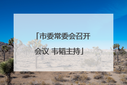 市委常委会召开会议 韦韬主持