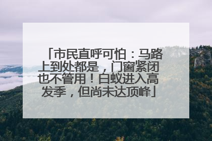市民直呼可怕：马路上到处都是，门窗紧闭也不管用！白蚁进入高发季，但尚未达顶峰