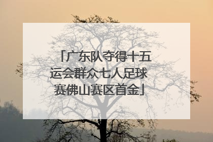 广东队夺得十五运会群众七人足球赛佛山赛区首金