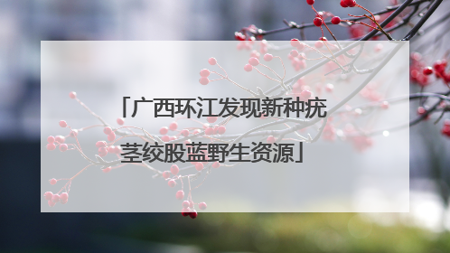 广西环江发现新种疣茎绞股蓝野生资源