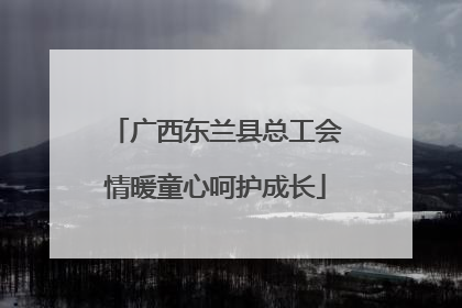 广西东兰县总工会情暖童心呵护成长