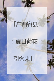 广西容县：夏日荷花引客来