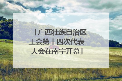 广西壮族自治区工会第十四次代表大会在南宁开幕