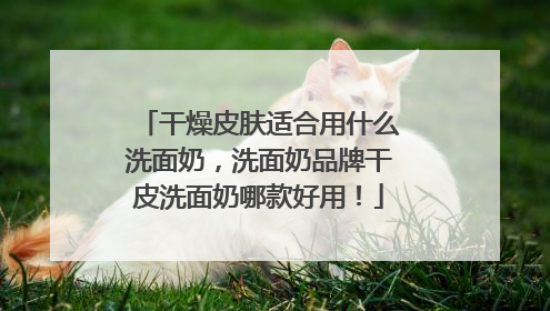 干燥皮肤适合用什么洗面奶，洗面奶品牌干皮洗面奶哪款好用！