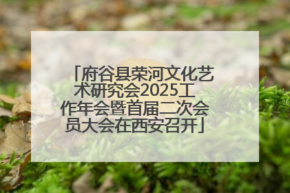 府谷县荣河文化艺术研究会2025工作年会暨首届二次会员大会在西安召开