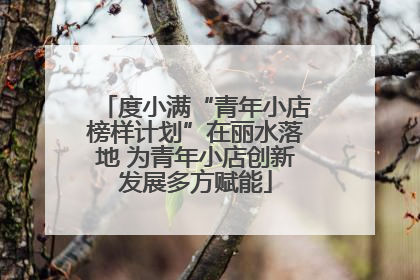 度小满“青年小店榜样计划”在丽水落地 为青年小店创新发展多方赋能