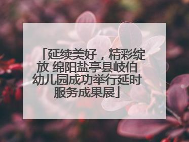 延续美好，精彩绽放 绵阳盐亭县岐伯幼儿园成功举行延时服务成果展