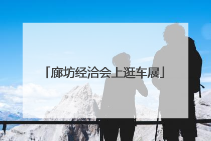 廊坊经洽会上逛车展