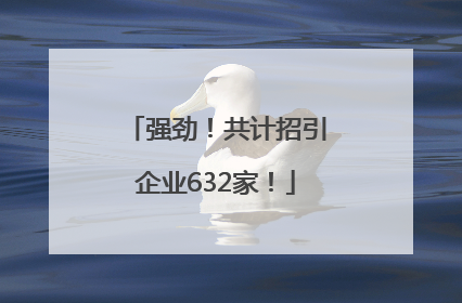 强劲！共计招引企业632家！