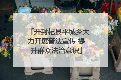 开封杞县平城乡大力开展普法宣传 提升群众法治意识