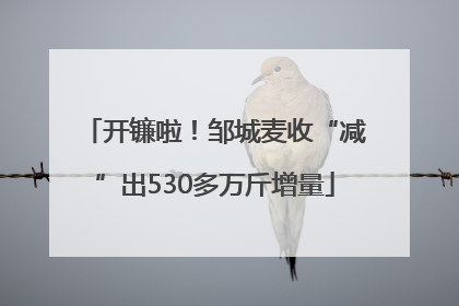开镰啦！邹城麦收“减”出530多万斤增量
