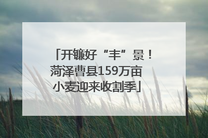 开镰好“丰”景！菏泽曹县159万亩小麦迎来收割季