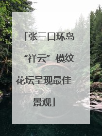 张三口环岛“祥云”模纹花坛呈现最佳景观