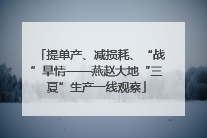 提单产、减损耗、“战”旱情——燕赵大地“三夏”生产一线观察