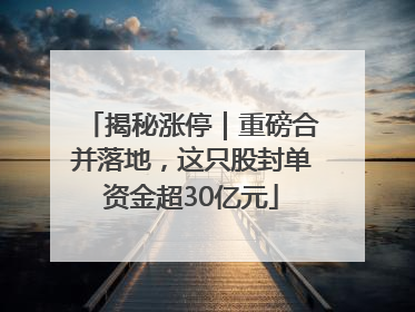 揭秘涨停｜重磅合并落地，这只股封单资金超30亿元