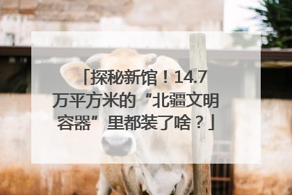 探秘新馆！14.7万平方米的“北疆文明容器”里都装了啥？