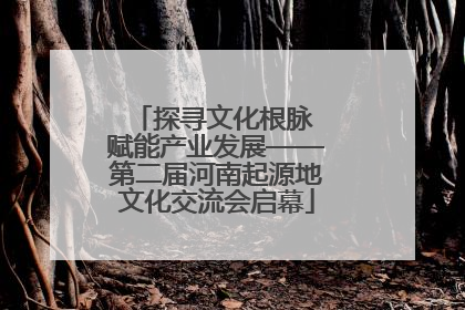 探寻文化根脉 赋能产业发展——第二届河南起源地文化交流会启幕
