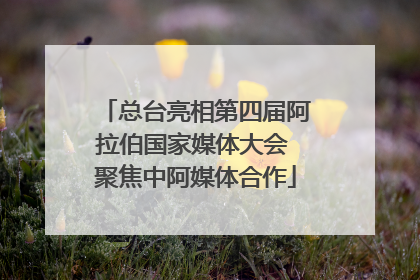 总台亮相第四届阿拉伯国家媒体大会 聚焦中阿媒体合作