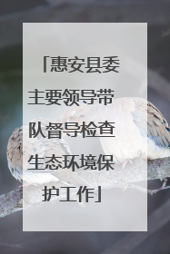 惠安县委主要领导带队督导检查生态环境保护工作