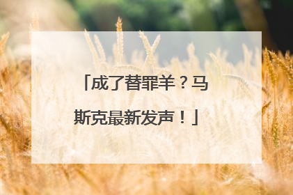 成了替罪羊？马斯克最新发声！
