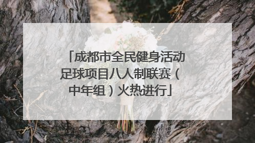成都市全民健身活动足球项目八人制联赛（中年组）火热进行