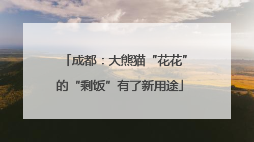 成都：大熊猫“花花”的“剩饭”有了新用途