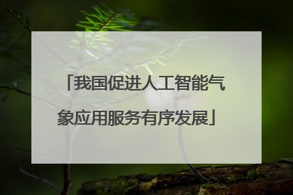 我国促进人工智能气象应用服务有序发展
