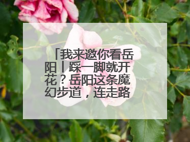 我来邀你看岳阳丨踩一脚就开花？岳阳这条魔幻步道，连走路都变得好玩！