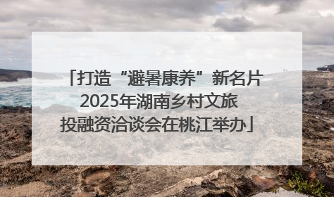 打造“避暑康养”新名片 2025年湖南乡村文旅投融资洽谈会在桃江举办