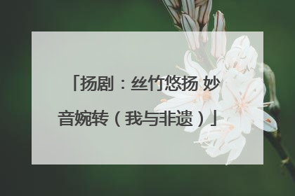 扬剧：丝竹悠扬 妙音婉转（我与非遗）