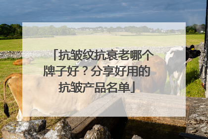 抗皱纹抗衰老哪个牌子好？分享好用的抗皱产品名单