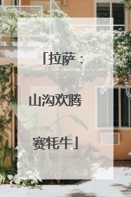 拉萨：山沟欢腾赛牦牛