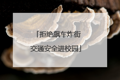 拒绝飙车炸街 交通安全进校园