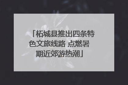 柘城县推出四条特色文旅线路 点燃暑期近郊游热潮