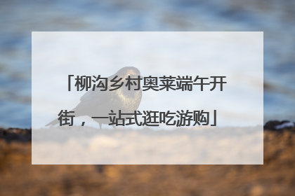 柳沟乡村奥莱端午开街，一站式逛吃游购