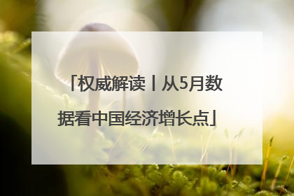 权威解读丨从5月数据看中国经济增长点
