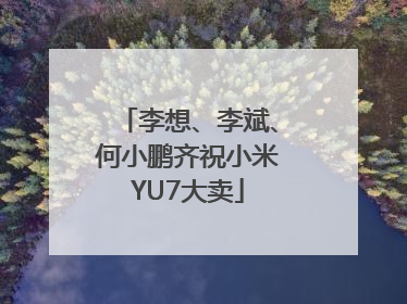 李想、李斌、何小鹏齐祝小米YU7大卖
