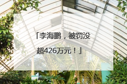 李海鹏，被罚没超426万元！