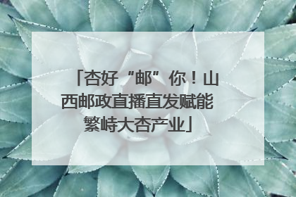 杏好“邮”你！山西邮政直播直发赋能繁峙大杏产业