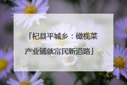 杞县平城乡：橄榄菜产业铺就富民新道路