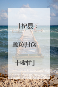杞县：颗粒归仓丰收忙