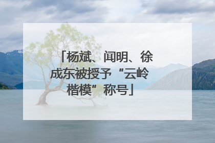杨斌、闻明、徐成东被授予“云岭楷模”称号