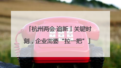 杭州两会·追新丨关键时刻，企业需要“拉一把”