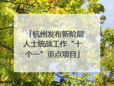 杭州发布新阶层人士统战工作“十个一”重点项目