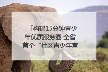构建15分钟青少年优质服务圈 全省首个“社区青少年宫”落地成都成华区｜一老一小总关情