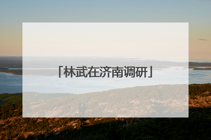 林武在济南调研