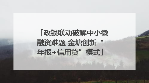政银联动破解中小微融资难题 金塘创新“年报+信用贷”模式