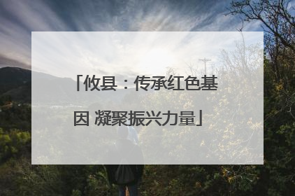 攸县：传承红色基因 凝聚振兴力量