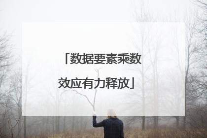数据要素乘数效应有力释放