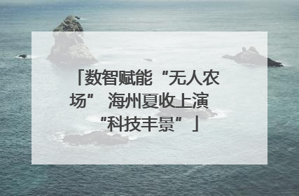 数智赋能“无人农场” 海州夏收上演“科技丰景”